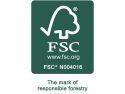 Noomi Tera Solid Wood Gaming Highsleeper (FSC-Certified)