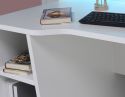 Flair Power X Gaming Desk White