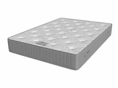 Maxitex Indulgence Orthopaedic Memory Mattress